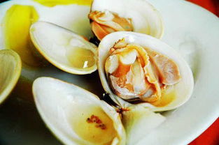 警惕麻痹性貝類(lèi)毒素 食用野生貝類(lèi)暗藏的健康風(fēng)險(xiǎn)